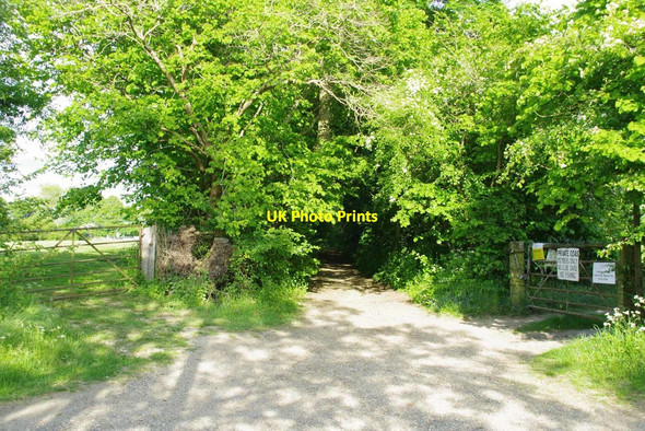 Photo 6"x4" North Lane Byway Moreton\/TL5307 c2020