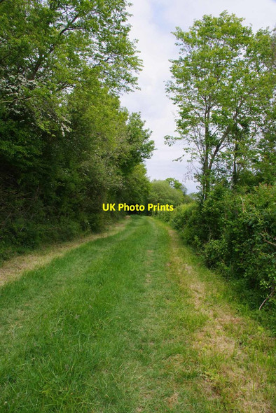 Photo 6"x4" Byway PROW 199_23 Clatterford End\/TL5606 c2020