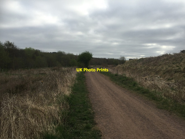 Photo 6"x4" Pencaitland Railway Walk Cousland\/NT3768 c2020