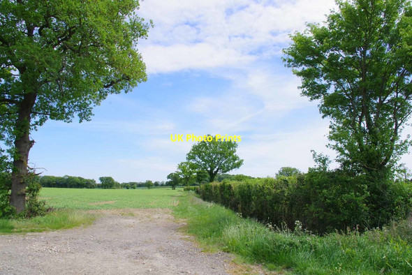 Photo 6"x4" Field Boundary by Byway 189_8 Norwood End c2020