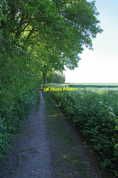 Photo 6"x4" North Lane Byway Moreton\/TL5307 c2020