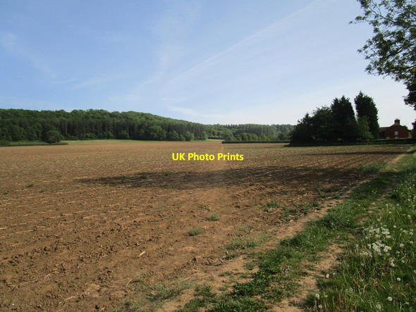 Photo 6"x4" Footpath to Cliff Road Woolsthorpe By Belvoir c2020