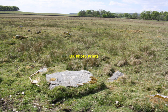 Photo 6"x4" View towards Malham Tarn from track under Great Close Scar Water Houses\/SD8867 c2019