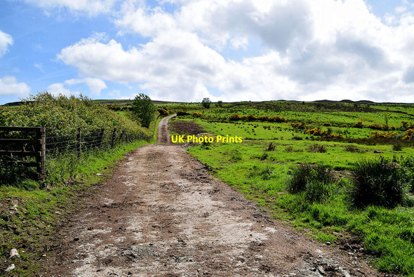 Photo 6"x4" Lane to mountain, Woodbrook Gortin c2020