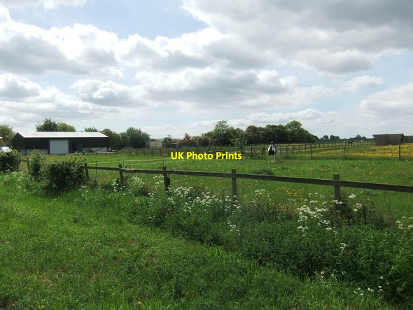 Photo 6"x4" Paddocks and stabling at Elstronwick Elstronwick c2020