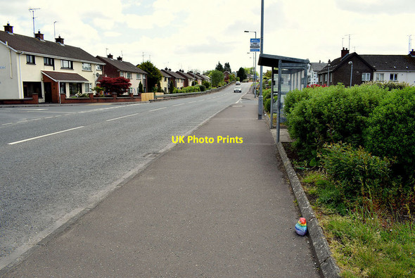 Photo 6"x4" Bus stop along Hospital Road, Omagh Omagh c2020