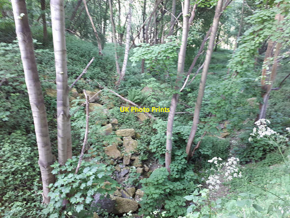 Photo 6"x4" Former Park Spring Quarry Pudsey\/SE2233 c2020