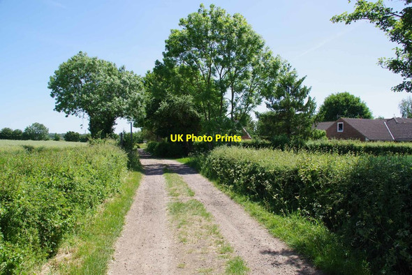 Photo 6"x4" The End of Byway 191_51 Clatterford End\/TL5606 c2020