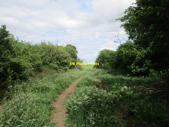 Photo 6"x4" Restricted byway Bescaby c2020 P1