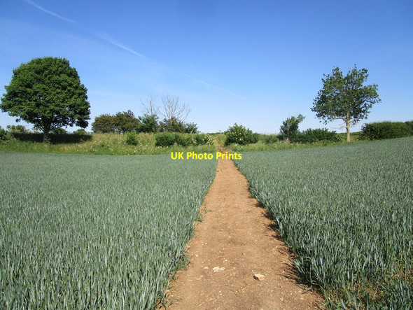 Photo 6"x4" Bridleway approaching King Street Aisby\/TF0138 c2020