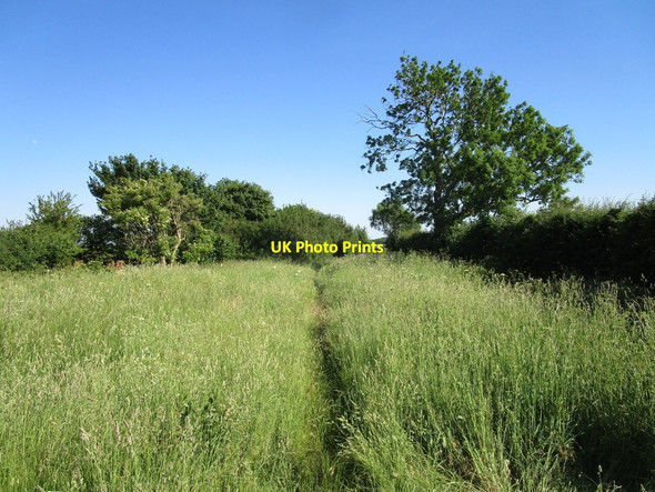 Photo 6"x4" Restricted byway to Haceby Haceby c2020