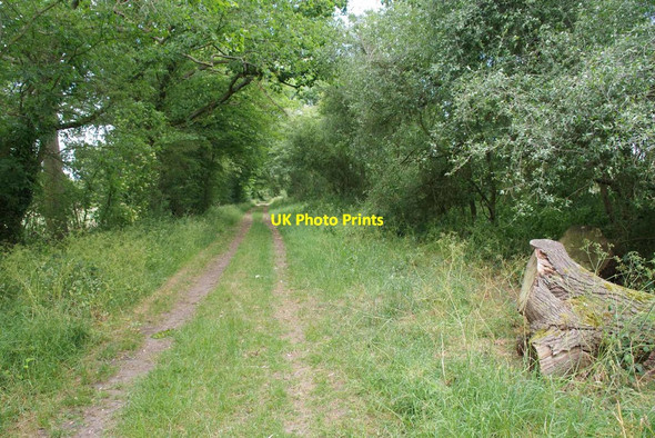 Photo 6"x4" Bridleway PROW 107_7 Almshouse Green\/TL7533 c2020
