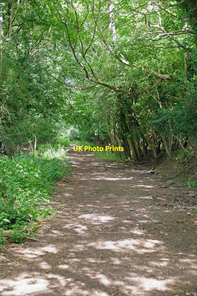 Photo 6"x4" Bridleway 206_34 to Curtismill Green Curtismill Green c2020
