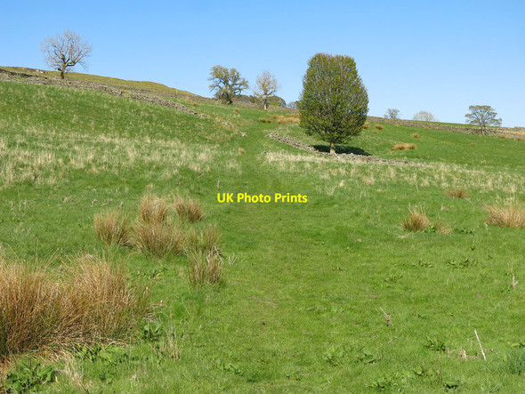 Photo 6"x4" Bridleway and rough pastures below Banks Farm Alston\/NY7146 c2020