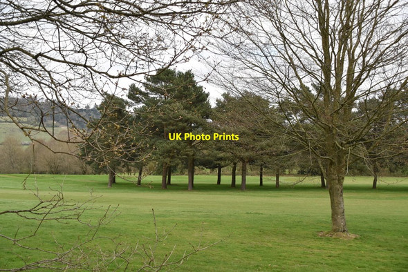 Photo 6"x4" Betchworth Park Golf Course Dorking c2019 P1