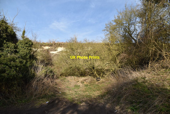 Photo 6"x4" Chalk quarry (disused) Newport\/TL5233 c2019