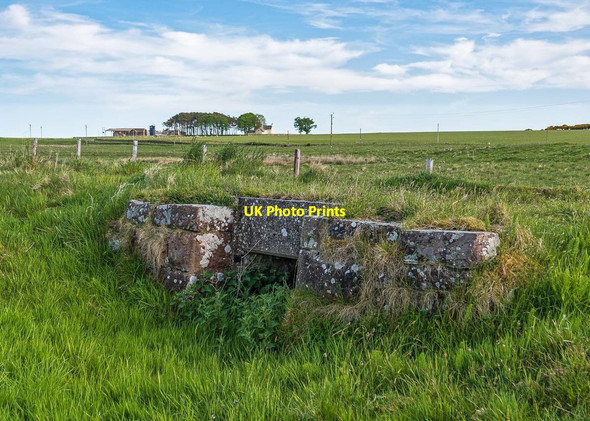 Photo 6"x4" The Mound to Dornoch Railway Line Littleferry c2020