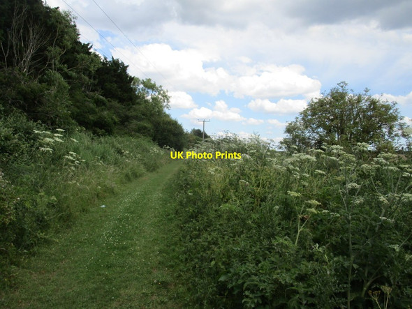 Photo 6"x4" Byway to Mill Road, West Walton Ingleborough\/TF4715 c2020