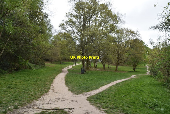 Photo 6"x4" The Old Racecourse, Tunbridge Wells Common Royal Tunbridge Wells c2020
