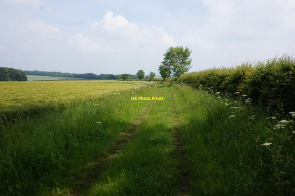 Photo 6"x4" Bridleway towards Haywold Farm North Dalton c2020