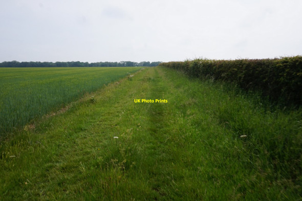 Photo 6"x4" Bridleway towards High Wood Tibthorpe c2020