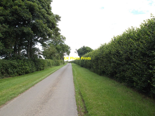 Photo 6"x4" Road from Cornborough Manor Farlington\/SE6167 c2020