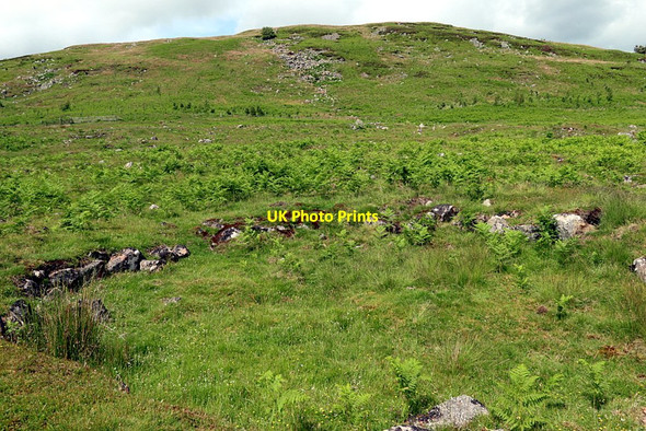 Photo 6"x4" Round-house, 'Western Fort', Grieve's Ash Linhope\/NT9616 c2020