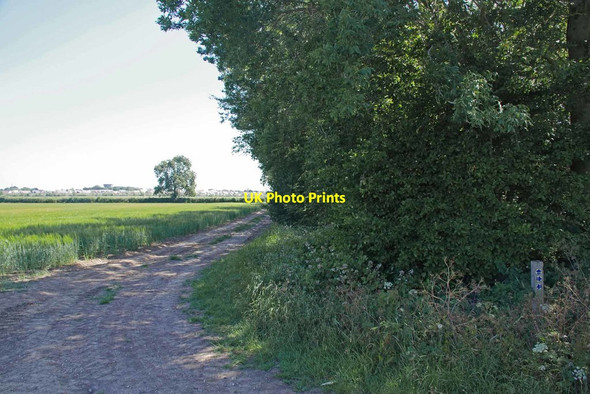 Photo 6"x4" Bridleway to Blackthorn Spring Green Street\/TL4522 c2020