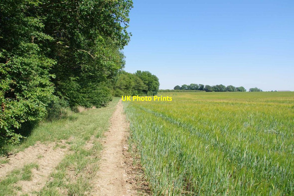 Photo 6"x4" Bridleway by Bailey Hills Bishop's Stortford c2020