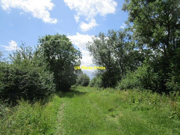 Photo 6"x4" Bridleway to Brigg's Lodge Farm Thrapston c2020