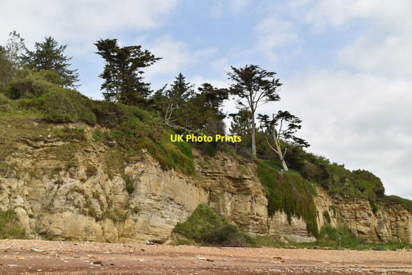 Photo 6"x4" Vegetated cliffs Cliff End\/TQ8813 c2019