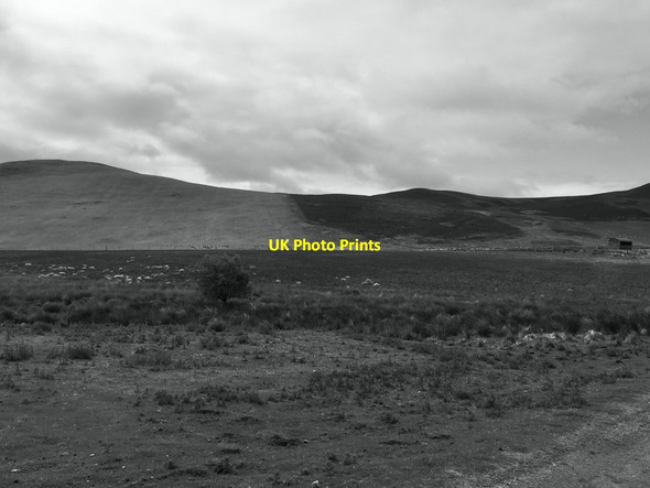 Photo 6"x4" Moorland around the Brown Rig Burn Gifford c2020