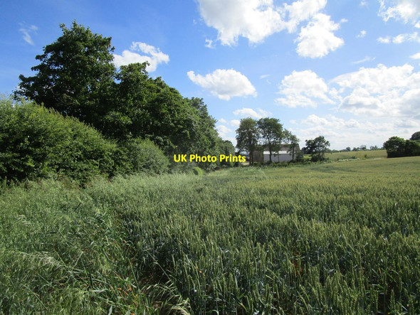 Photo 6"x4" Wheat field and barns at Manor Farm, Keyston Keyston c2020