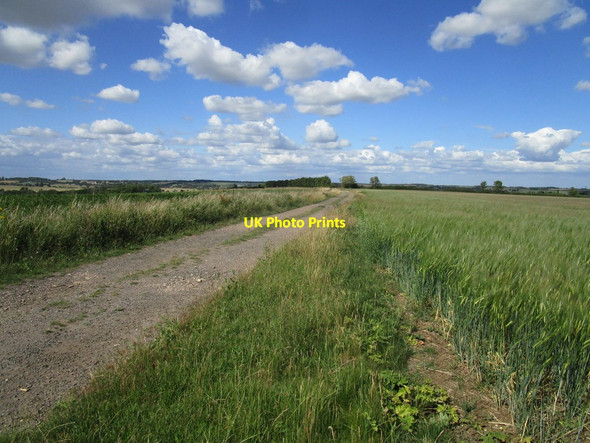 Photo 6"x4" Bridleway to Bythorn Bythorn c2020