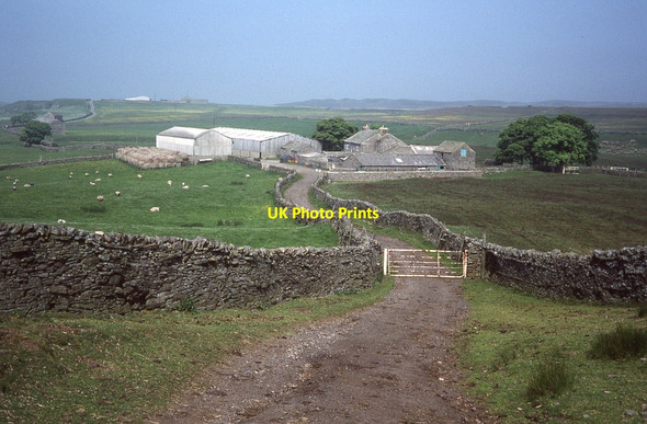Photo 6"x4" Sleightholme Farm Coney Seat Hill c1988