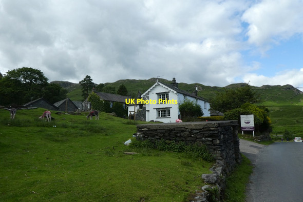 Photo 6"x4" Herdwicks in Elterwater Elterwater c2020