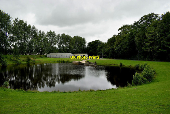 Photo 6"x4" Reflections at the Boating Pond, Omagh Omagh c2020