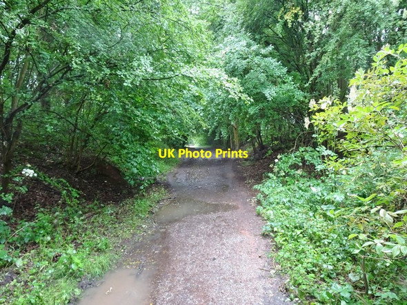 Photo 6"x4" Rainy Railway Orton\/SO8695 c2020