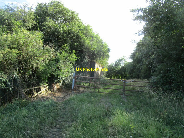 Photo 6"x4" Bridleway, gate and bridge abutment Hargrave\/TL0370 c2020