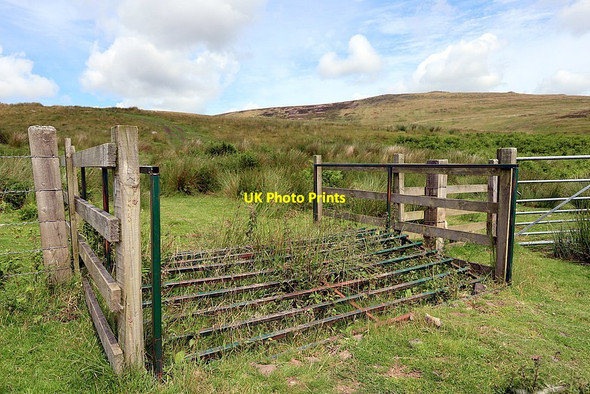 Photo 6"x4" Domed cattle grid near Het Burn Linhope\/NT9616 c2020