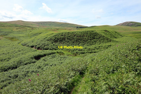 Photo 6"x4" Restricted byway above Shank Burn Linhope\/NT9616 c2020