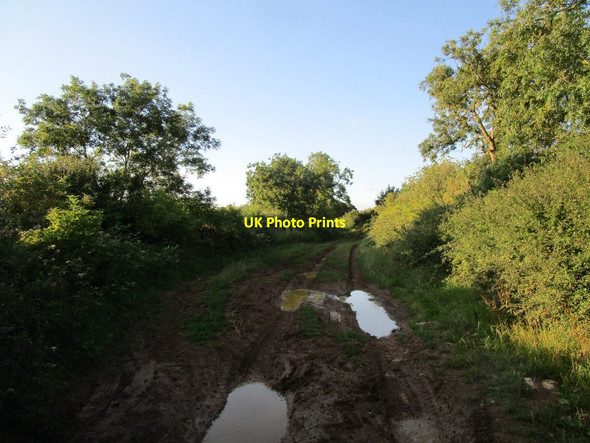 Photo 6"x4" Byway near Aldwincle Lowick\/SP9780 c2020