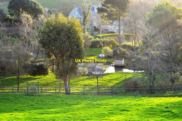 Photo 6"x4" Fish Pond Abbotsbury\/SY5785 c2019