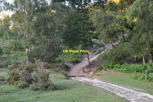 Photo 6"x4" Ford in track at southern edge of Hale Purlieu Hale\/SU1919 c2020
