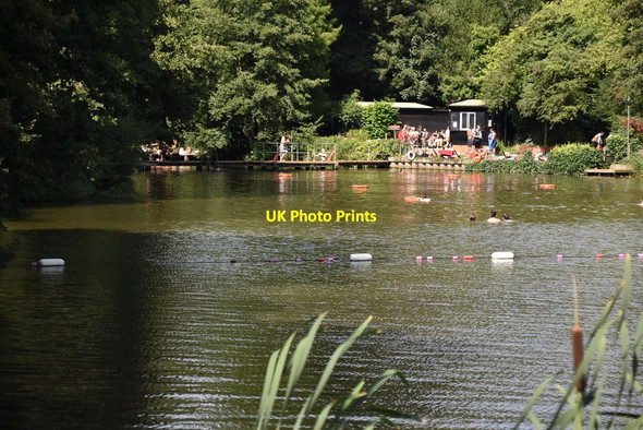 Photo 6"x4" Hampstead Ponds #3 Hampstead\/TQ2685 c2019