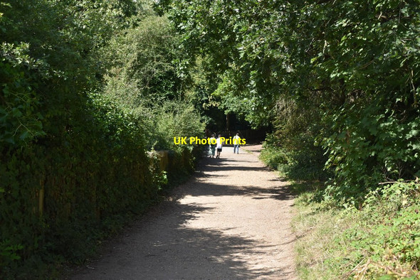 Photo 6"x4" Track by Hampstead Ponds Hampstead\/TQ2685 c2019