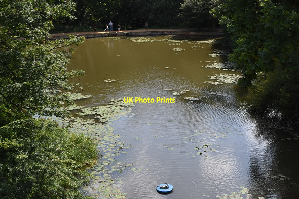 Photo 6"x4" Viaduct Pond Hampstead\/TQ2685 c2019