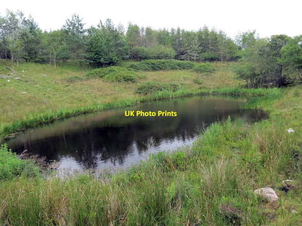 Photo 6"x4" Pownd ger Pont Tir y G\u00c3\u00b4f \/ A pond near Pont Tir y G\u00c3\u00b4f Cwmgiedd c2020
