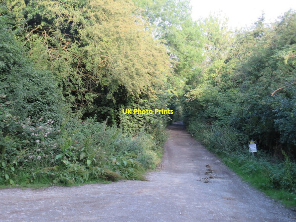 Photo 6"x4" Track near Cerney Wick Cricklade c2020