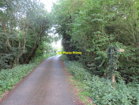 Photo 6"x4" Wickwater Lane, near South Cerney Cerney Wick c2020